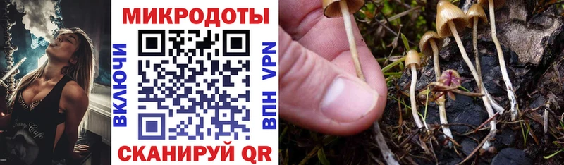 Купить закладки  Мурманск  Псилоцибиновые грибы ЛСД 
